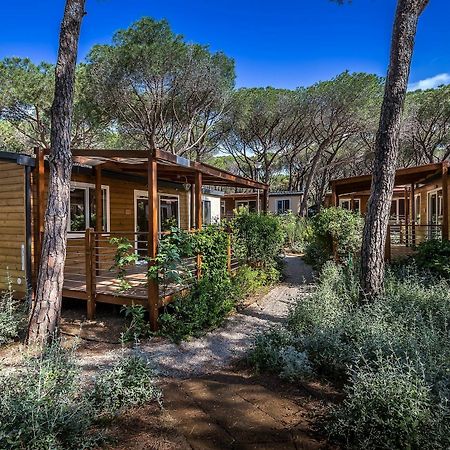 Camping Internazionale Etruria Castiglione della Pescaia Dış mekan fotoğraf