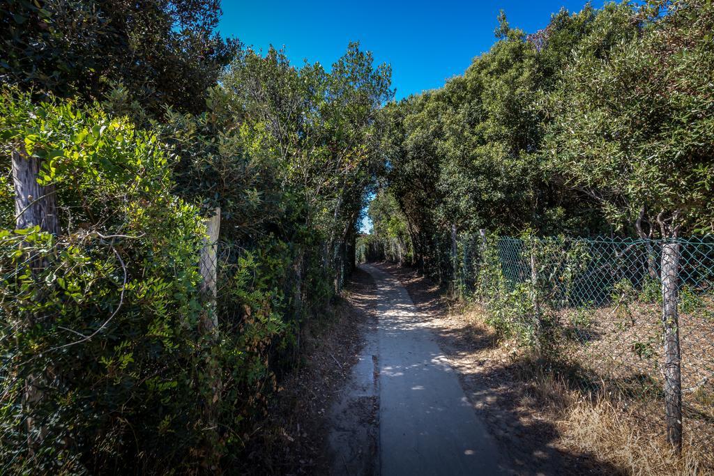 Camping Internazionale Etruria Castiglione della Pescaia Dış mekan fotoğraf