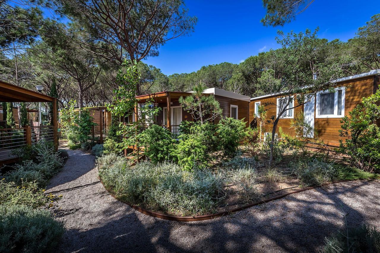 Camping Internazionale Etruria Castiglione della Pescaia Dış mekan fotoğraf