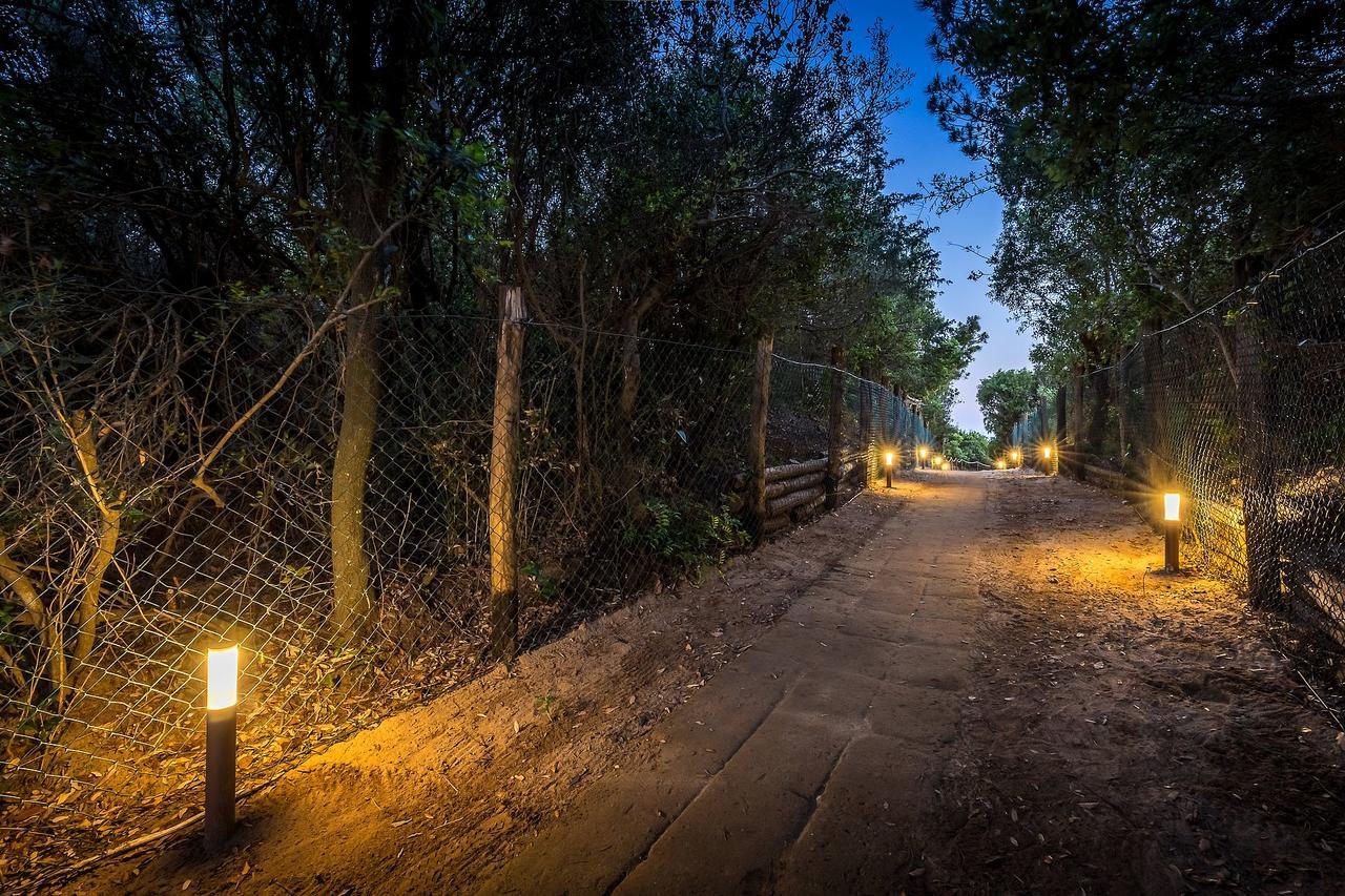 Camping Internazionale Etruria Castiglione della Pescaia Dış mekan fotoğraf