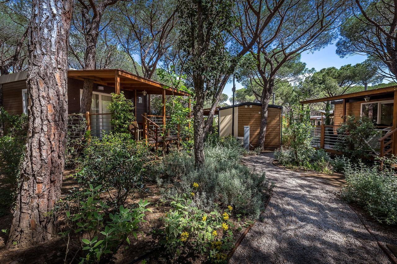 Camping Internazionale Etruria Castiglione della Pescaia Dış mekan fotoğraf